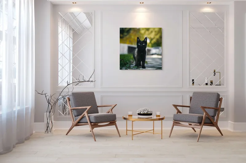 Tablou Canvas, "Pisoiul negru pe cărăruie însorită", Negru, Ochii, Pisică, Trotuar, Natură, Verdeață, Blană, Curiozitate, 100 x 100 cm – poza 7