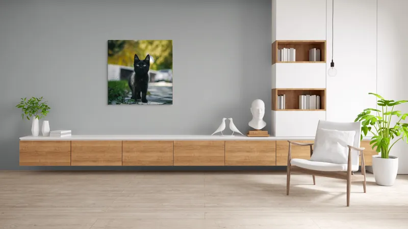 Tablou Canvas, "Pisoiul negru pe cărăruie însorită", Negru, Ochii, Pisică, Trotuar, Natură, Verdeață, Blană, Curiozitate, 100 x 100 cm – poza 8
