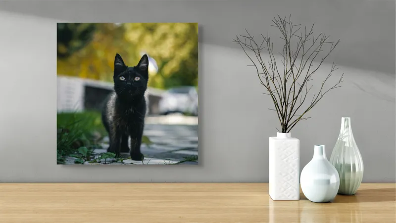 Tablou Canvas, "Pisoiul negru pe cărăruie însorită", Negru, Ochii, Pisică, Trotuar, Natură, Verdeață, Blană, Curiozitate, 50 x 50 cm – poza 3