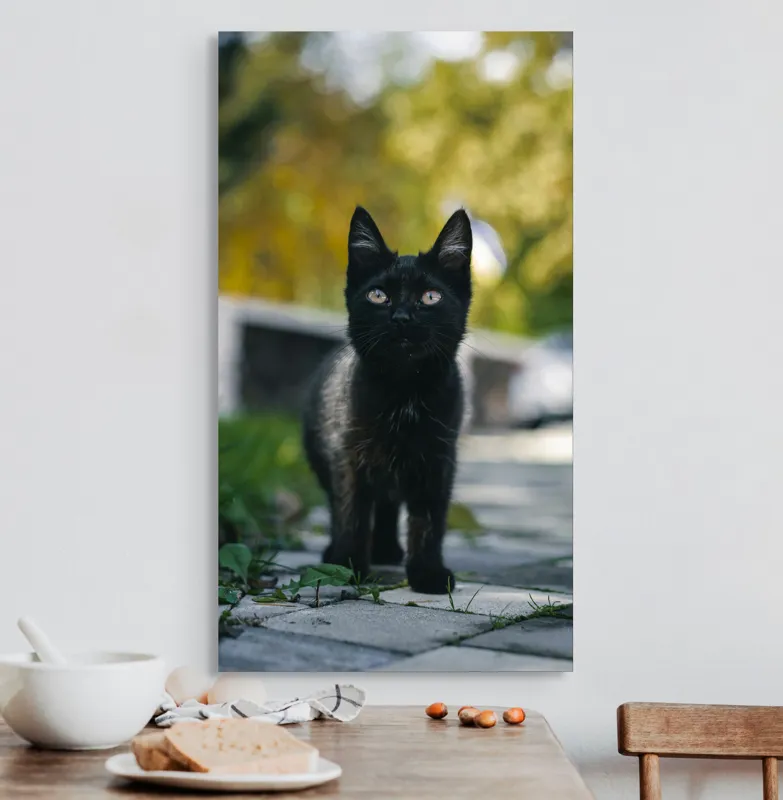 Tablou Canvas, "Pisoiul negru pe cărăruie însorită", Negru, Ochii, Pisică, Trotuar, Natură, Verdeață, Blană, Curiozitate, 50 x 90 cm – poza 3