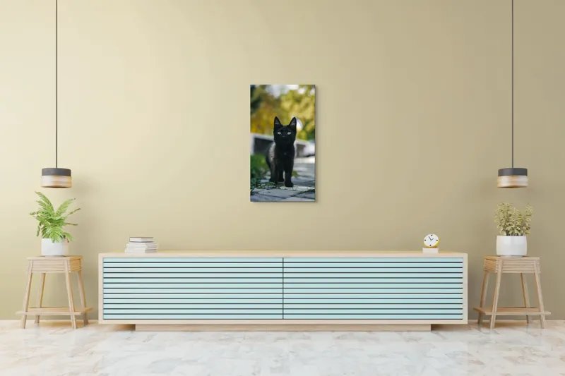 Tablou Canvas, "Pisoiul negru pe cărăruie însorită", Negru, Ochii, Pisică, Trotuar, Natură, Verdeață, Blană, Curiozitate, 50 x 90 cm – poza 6