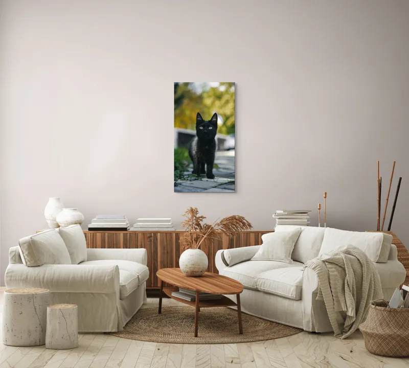Tablou Canvas, "Pisoiul negru pe cărăruie însorită", Negru, Ochii, Pisică, Trotuar, Natură, Verdeață, Blană, Curiozitate, 50 x 90 cm – poza 7