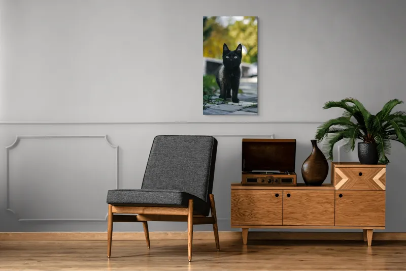 Tablou Canvas, "Pisoiul negru pe cărăruie însorită", Negru, Ochii, Pisică, Trotuar, Natură, Verdeață, Blană, Curiozitate, 50 x 90 cm – poza 8
