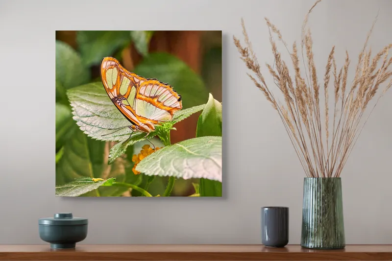 Tablou Canvas, "Flutur și frunze în armonie verde", Fluture, Frunze, Verde, Portocaliu, Transparent, Delicat, Natură, Aripi., 50 x 50 cm – poza 4