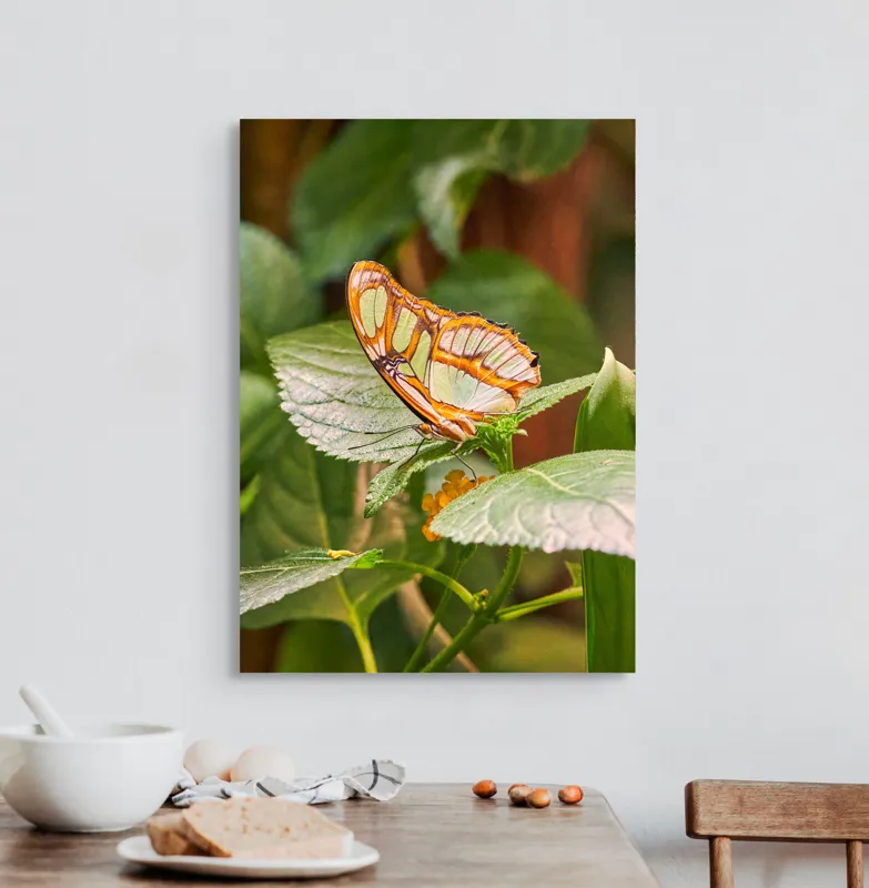 Tablou Canvas, "Flutur și frunze în armonie verde", Fluture, Frunze, Verde, Portocaliu, Transparent, Delicat, Natură, Aripi., 50 x 70 cm – poza 3