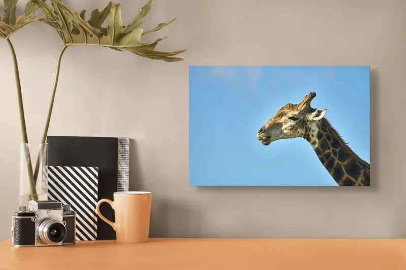 Tablou Canvas, "Gâtul lung al girafei mărețe", Giraffe, Sky, Profile, Spots, Wildlife, Serenity, Nature, 39 x 26 cm – poza 3