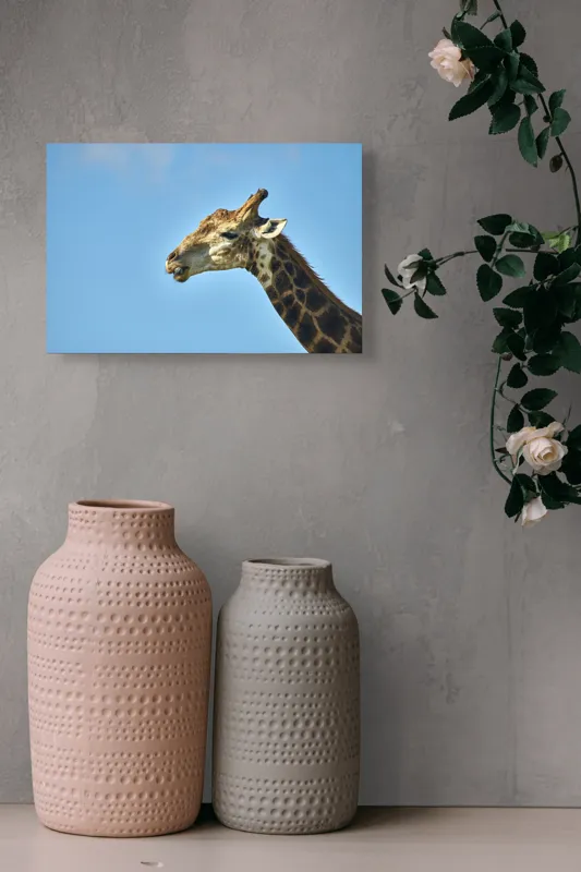 Tablou Canvas, "Gâtul lung al girafei mărețe", Giraffe, Sky, Profile, Spots, Wildlife, Serenity, Nature, 39 x 26 cm – poza 4