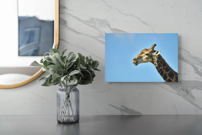 Tablou Canvas, "Gâtul lung al girafei mărețe", Giraffe, Sky, Profile, Spots, Wildlife, Serenity, Nature, 39 x 26 cm – poza 5