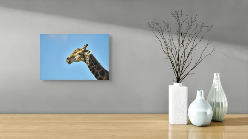 Tablou Canvas, "Gâtul lung al girafei mărețe", Giraffe, Sky, Profile, Spots, Wildlife, Serenity, Nature, 39 x 26 cm – poza 8
