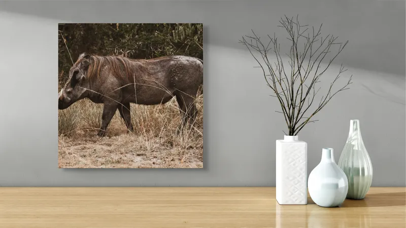 Tablou Canvas, "Porcul cu colți prin savană africană", Mistret, Naruit, Salbaticie, Vegetatie, Robust, Natural, Libertate, Impresionant, Blana, Coltzi., 50 x 50 cm – poza 3