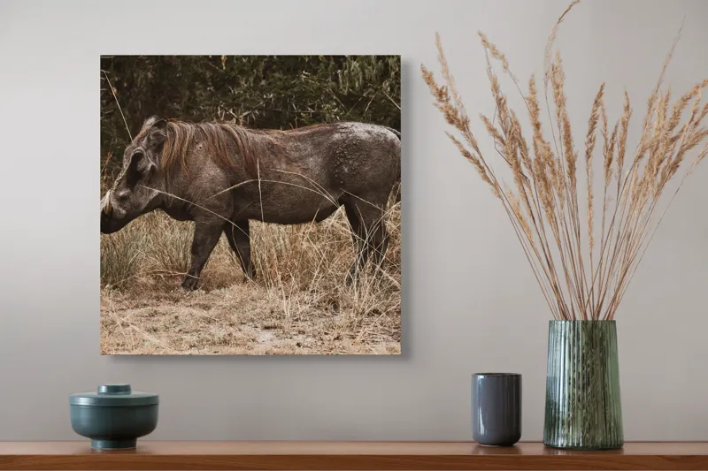 Tablou Canvas, "Porcul cu colți prin savană africană", Mistret, Naruit, Salbaticie, Vegetatie, Robust, Natural, Libertate, Impresionant, Blana, Coltzi., 50 x 50 cm – poza 4