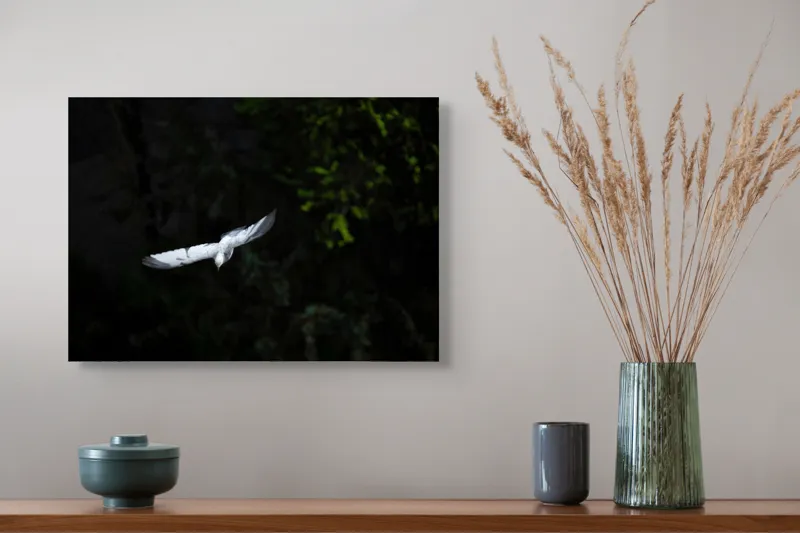 Tablou Canvas, "Pasărea albă în zbor nocturn", Porumbel, Zbor, Noapte, Întuneric, Aripi, Strălucire, Pădure, Serenitate, 54 x 39 cm – poza 4