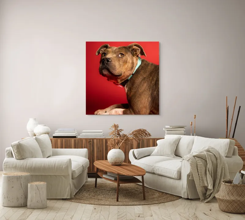 Tablou Canvas, Iepure, Verde, Blană, Roșu, Urechi, Privire, Liniște, 100 x 100 cm – poza 3
