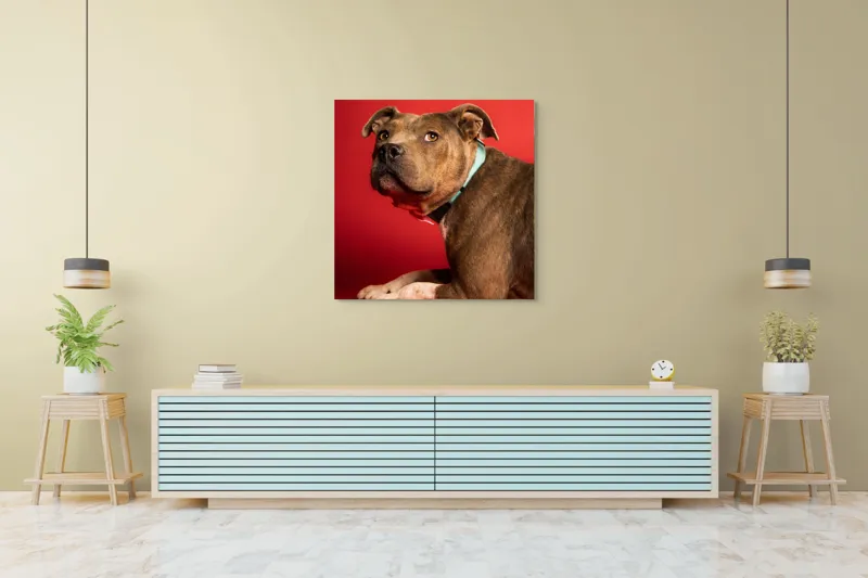 Tablou Canvas, Iepure, Verde, Blană, Roșu, Urechi, Privire, Liniște, 100 x 100 cm – poza 5