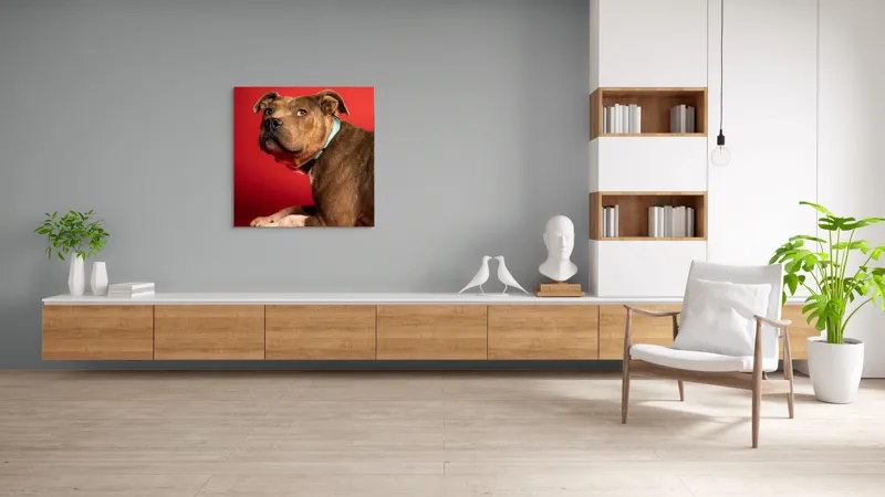 Tablou Canvas, Iepure, Verde, Blană, Roșu, Urechi, Privire, Liniște, 100 x 100 cm – poza 8