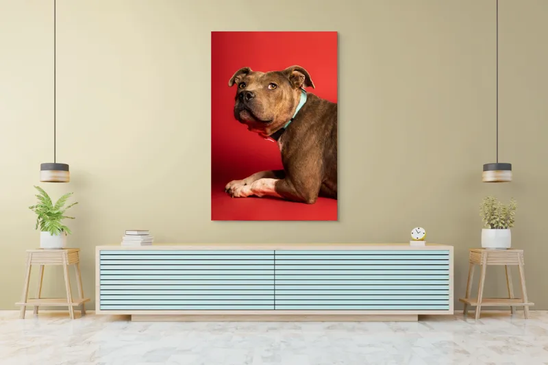Tablou Canvas, Iepure, Verde, Blană, Roșu, Urechi, Privire, Liniște, 100 x 150 cm – poza 4