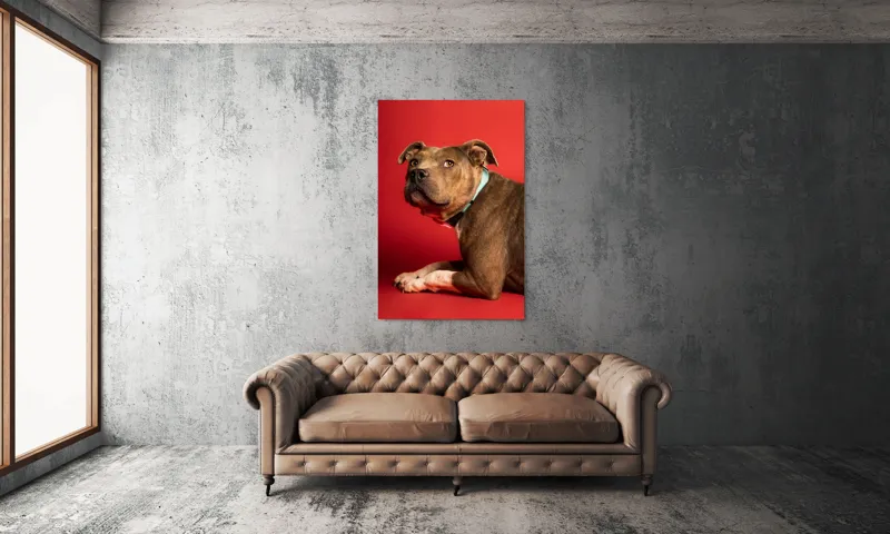 Tablou Canvas, Iepure, Verde, Blană, Roșu, Urechi, Privire, Liniște, 100 x 150 cm – poza 6