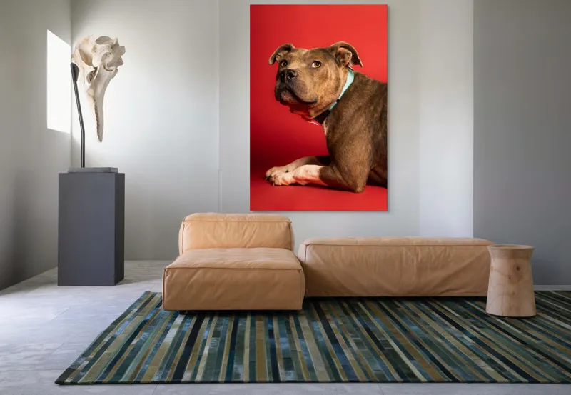 Tablou Canvas, Iepure, Verde, Blană, Roșu, Urechi, Privire, Liniște, 100 x 150 cm – poza 7