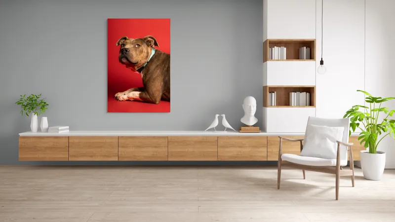 Tablou Canvas, Iepure, Verde, Blană, Roșu, Urechi, Privire, Liniște, 100 x 150 cm – poza 8