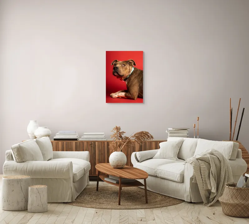 Tablou Canvas, Iepure, Verde, Blană, Roșu, Urechi, Privire, Liniște, 50 x 70 cm – poza 4