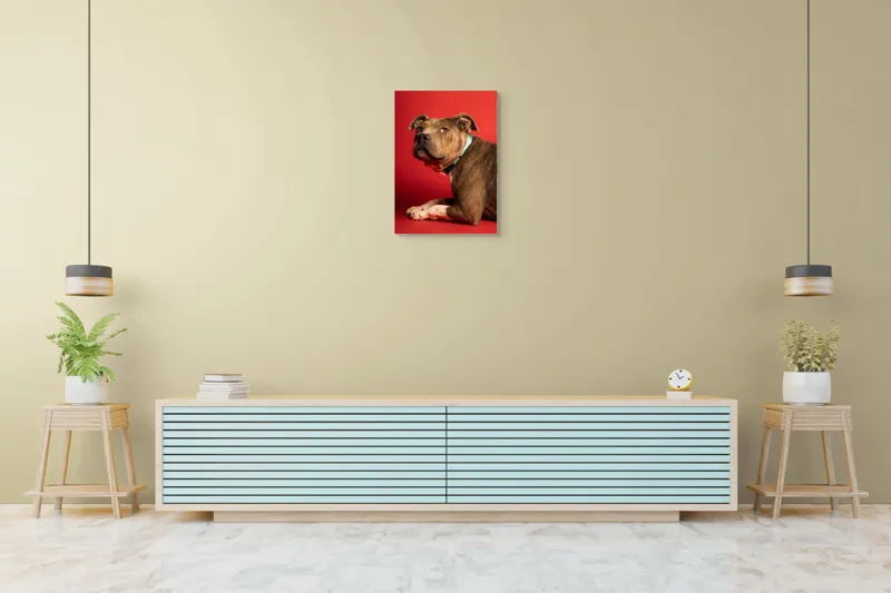 Tablou Canvas, Iepure, Verde, Blană, Roșu, Urechi, Privire, Liniște, 50 x 70 cm – poza 6