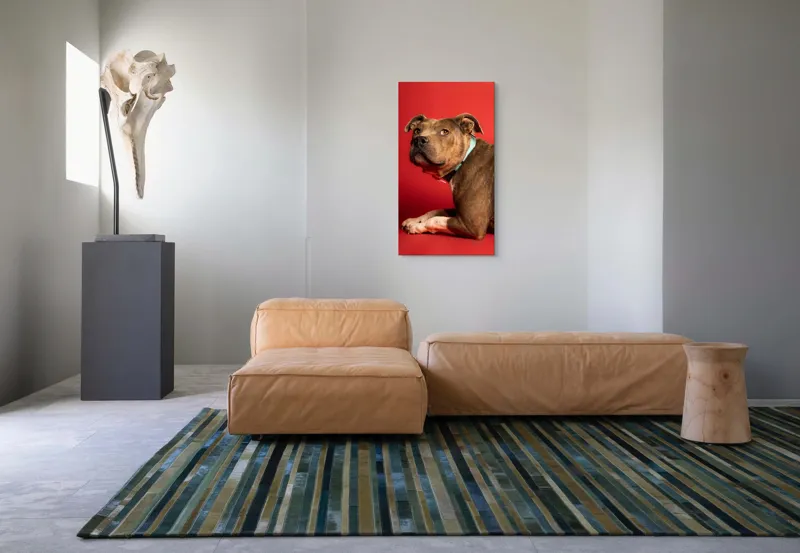 Tablou Canvas, Iepure, Verde, Blană, Roșu, Urechi, Privire, Liniște, 50 x 90 cm – poza 5