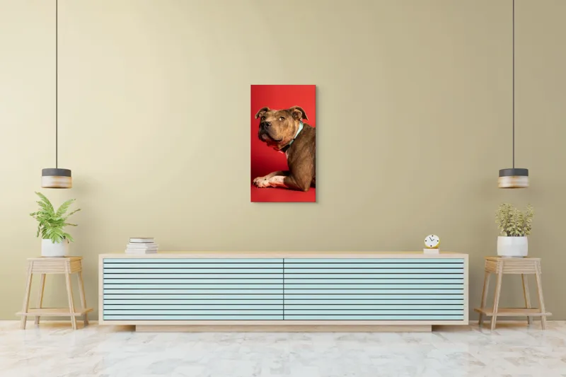 Tablou Canvas, Iepure, Verde, Blană, Roșu, Urechi, Privire, Liniște, 50 x 90 cm – poza 6