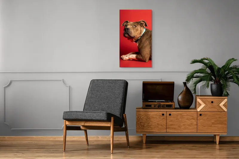 Tablou Canvas, Iepure, Verde, Blană, Roșu, Urechi, Privire, Liniște, 50 x 90 cm – poza 8