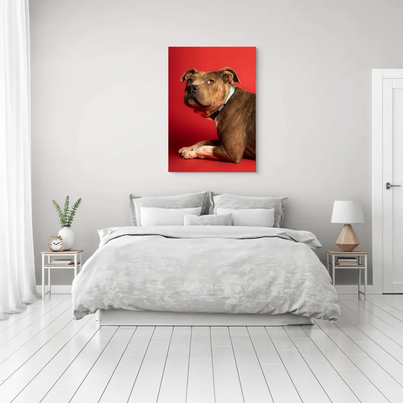 Tablou Canvas, Iepure, Verde, Blană, Roșu, Urechi, Privire, Liniște, 70 x 100 cm – poza 3