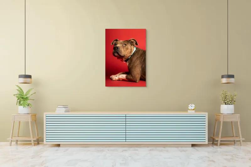 Tablou Canvas, Iepure, Verde, Blană, Roșu, Urechi, Privire, Liniște, 70 x 100 cm – poza 5