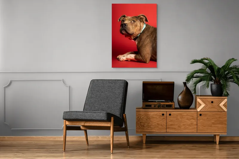 Tablou Canvas, Iepure, Verde, Blană, Roșu, Urechi, Privire, Liniște, 70 x 100 cm – poza 6