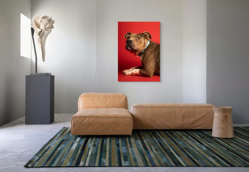 Tablou Canvas, Iepure, Verde, Blană, Roșu, Urechi, Privire, Liniște, 70 x 100 cm – poza 7