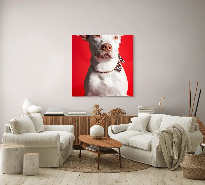 Tablou Canvas, "Câinele cu fundiță pe fundal roșu", Câine, Alb, Fundal, Roșu, Papion, Privire, Calmă, 100 x 100 cm – poza 3