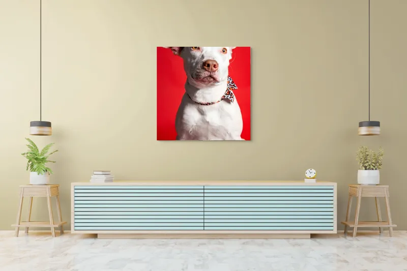 Tablou Canvas, "Câinele cu fundiță pe fundal roșu", Câine, Alb, Fundal, Roșu, Papion, Privire, Calmă, 100 x 100 cm – poza 5