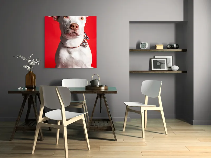 Tablou Canvas, "Câinele cu fundiță pe fundal roșu", Câine, Alb, Fundal, Roșu, Papion, Privire, Calmă, 100 x 100 cm – poza 6