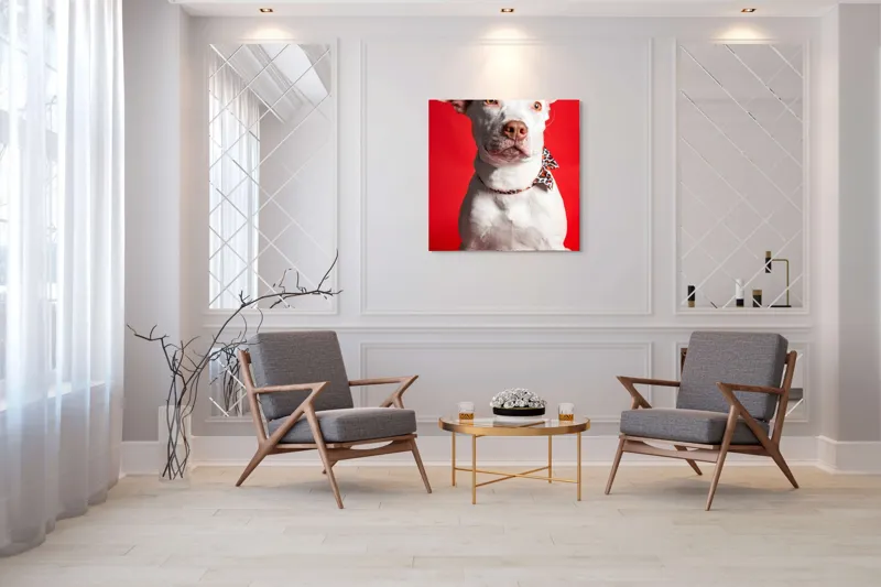 Tablou Canvas, "Câinele cu fundiță pe fundal roșu", Câine, Alb, Fundal, Roșu, Papion, Privire, Calmă, 100 x 100 cm – poza 7