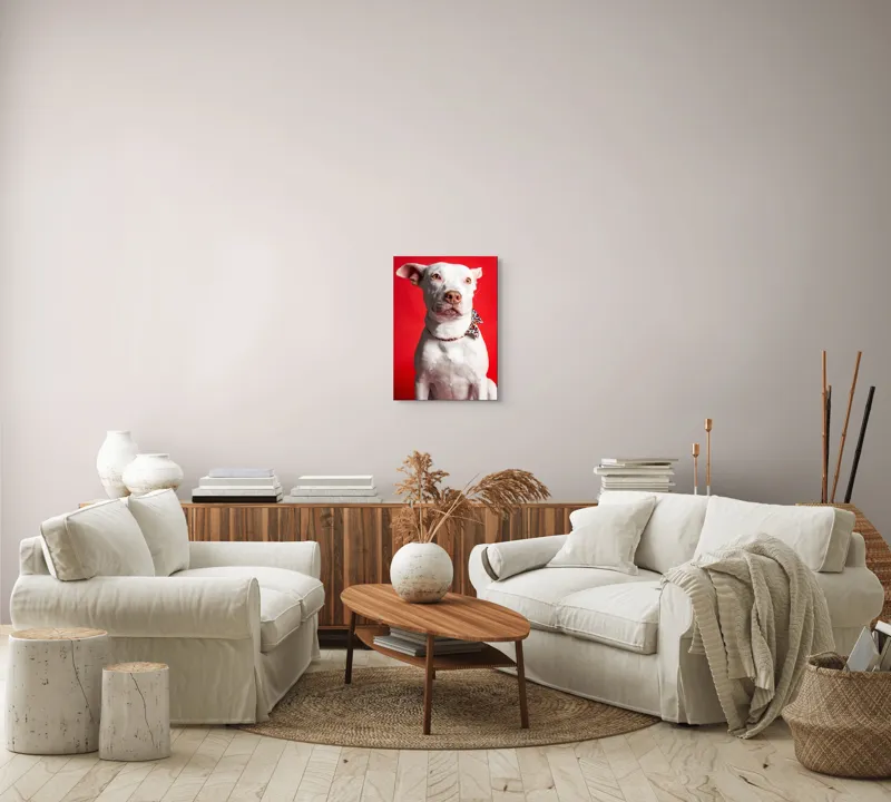 Tablou Canvas, "Câinele cu fundiță pe fundal roșu", Câine, Alb, Fundal, Roșu, Papion, Privire, Calmă, 39 x 54 cm – poza 5