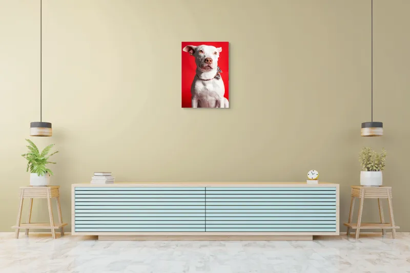 Tablou Canvas, "Câinele cu fundiță pe fundal roșu", Câine, Alb, Fundal, Roșu, Papion, Privire, Calmă, 50 x 70 cm – poza 6