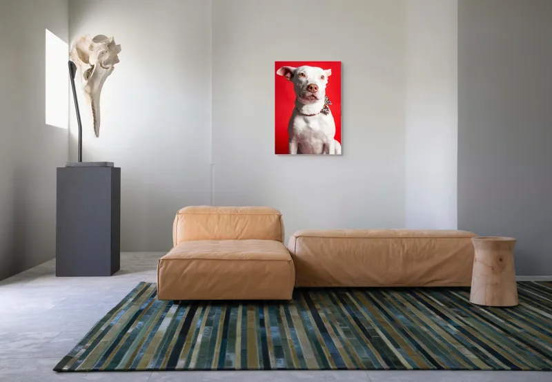 Tablou Canvas, "Câinele cu fundiță pe fundal roșu", Câine, Alb, Fundal, Roșu, Papion, Privire, Calmă, 50 x 70 cm – poza 7