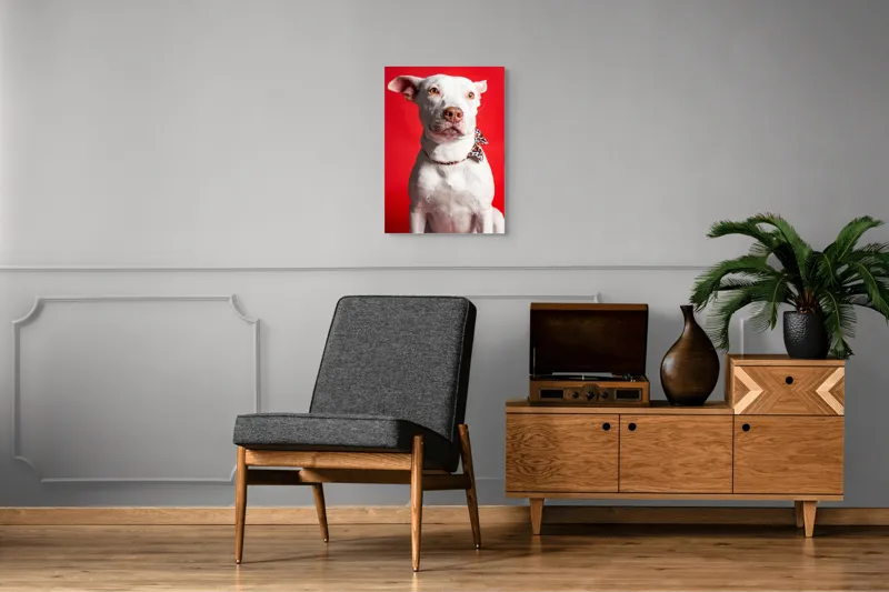 Tablou Canvas, "Câinele cu fundiță pe fundal roșu", Câine, Alb, Fundal, Roșu, Papion, Privire, Calmă, 50 x 70 cm – poza 8