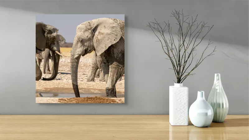 Tablou Canvas, "Elefanți la adăpat în savană", Elefanți, Deșert, Apă, Căldură, Peisaj, Faună, Natura, Ploi, Africa., 50 x 50 cm – poza 3