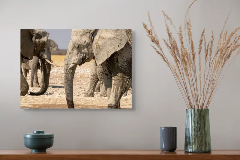 Tablou Canvas, "Elefanți la adăpat în savană", Elefanți, Deșert, Apă, Căldură, Peisaj, Faună, Natura, Ploi, Africa., 54 x 39 cm – poza 4