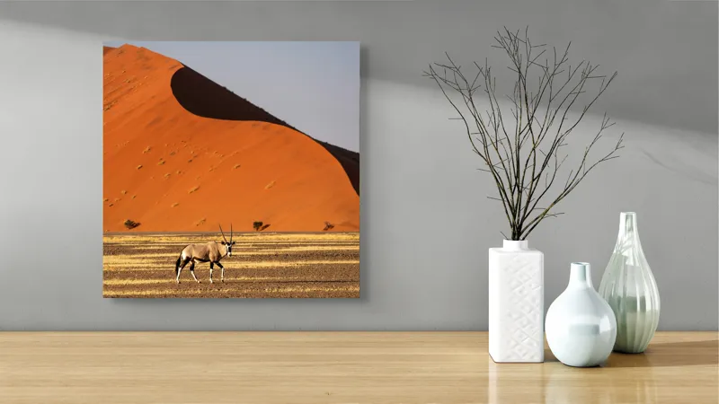 Tablou Canvas, "Oryx în fața dunelor portocalii", Antilopă, Dune, Deșert, Orange, Cer, Umbre, Linie, Vegetație, 50 x 50 cm – poza 3