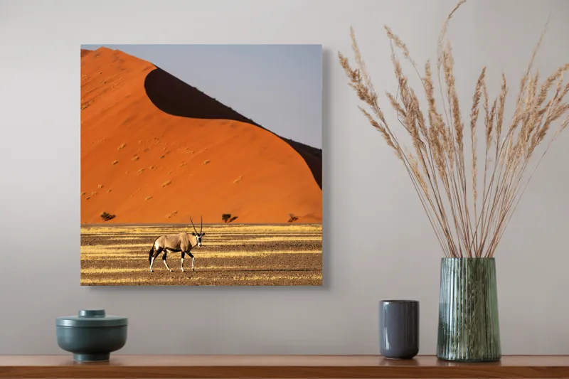 Tablou Canvas, "Oryx în fața dunelor portocalii", Antilopă, Dune, Deșert, Orange, Cer, Umbre, Linie, Vegetație, 50 x 50 cm – poza 4