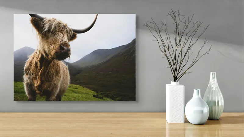Tablou Canvas, "Bovina solitară în munții înalți", Imposing, Highland, Majestic, Serene, Rugged, Nature, Grazing, Tranquil, 70 x 50 cm – poza 3