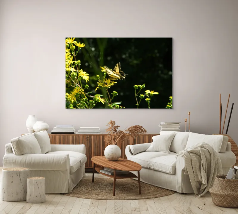 Tablou Canvas, "Fluturele printre flori galbene strălucitoare", Fluture, Galben, Flori, Natură, Lumină, Contraste, Delicatețe, Aripi, Verdeață, Primăvară, 150 x 100 cm – poza 3
