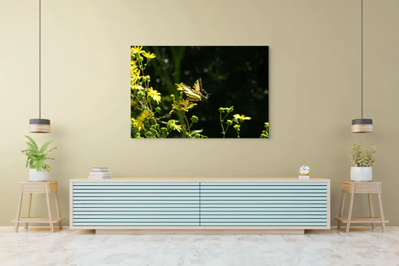 Tablou Canvas, "Fluturele printre flori galbene strălucitoare", Fluture, Galben, Flori, Natură, Lumină, Contraste, Delicatețe, Aripi, Verdeață, Primăvară, 150 x 100 cm – poza 6