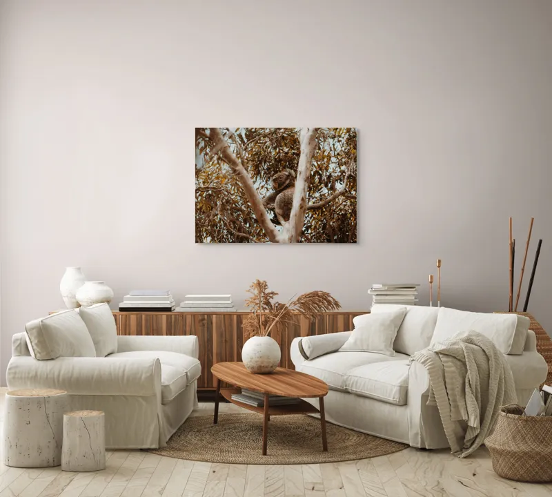 Tablou Canvas Natura Koala odihnindu-se printre ramuri mari, 100 x 70 cm – poza 3