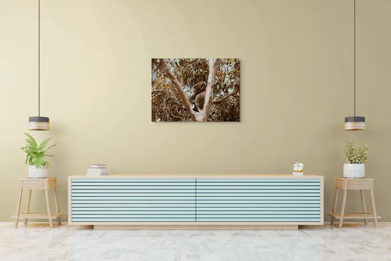 Tablou Canvas Natura Koala odihnindu-se printre ramuri mari, 100 x 70 cm – poza 4