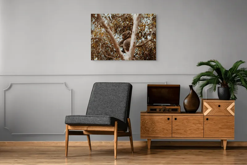 Tablou Canvas Natura Koala odihnindu-se printre ramuri mari, 100 x 70 cm – poza 8